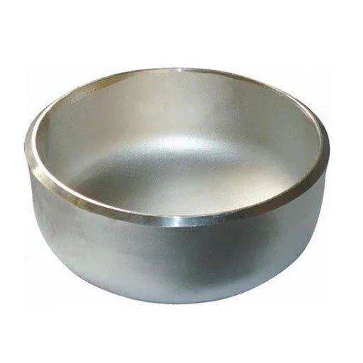 SS 317L Pipe Caps